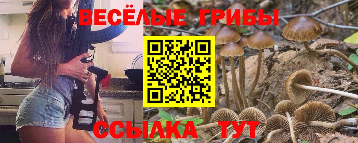 Псилоцибиновые грибы Psilocybine cubensis  Вход с VPN  Павлово  Псилоцибиновые грибы ЛСД 